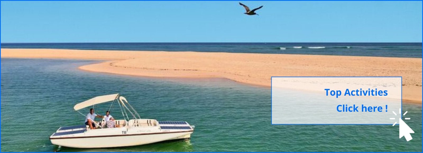 best-activities-olhao-amo-te-olhao-pt